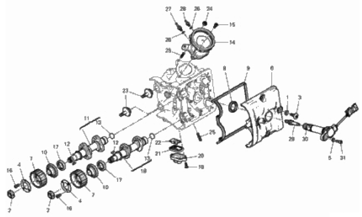 HORIZONTAL HEAD – TIMING SYSTEM 