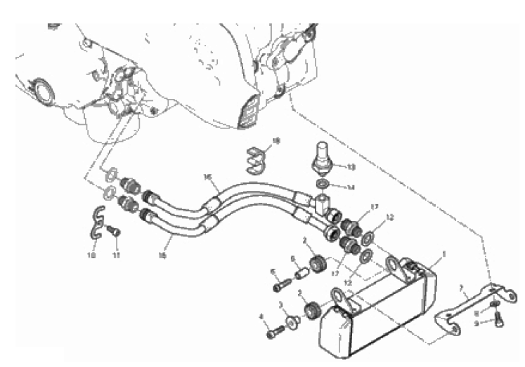 OIL COOLER 