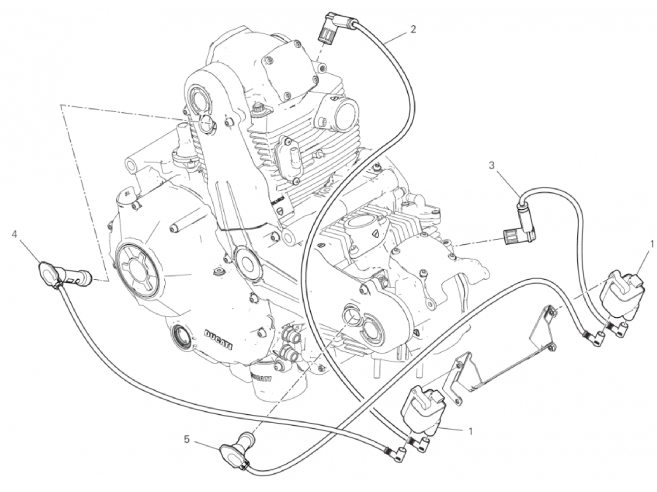 WIRING HARNESS (COIL) 