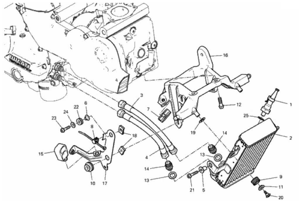 OIL COOLER 