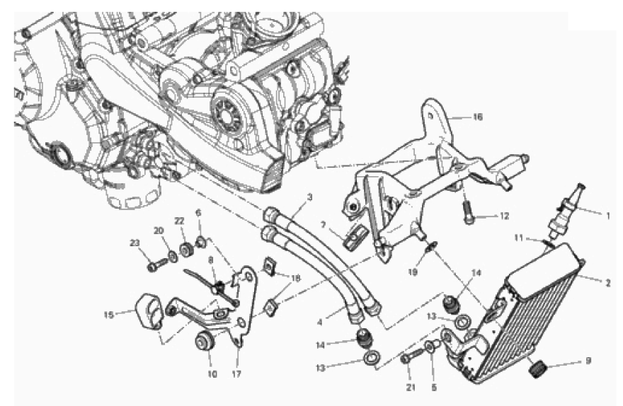 OIL COOLER 