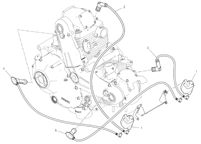 WIRING HARNESS (COIL) 